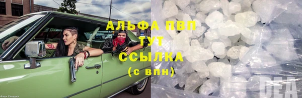 индика Бугульма