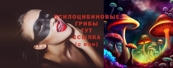 СК Бронницы