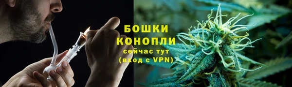 СК Бронницы