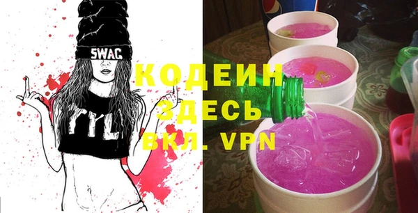 индика Бугульма