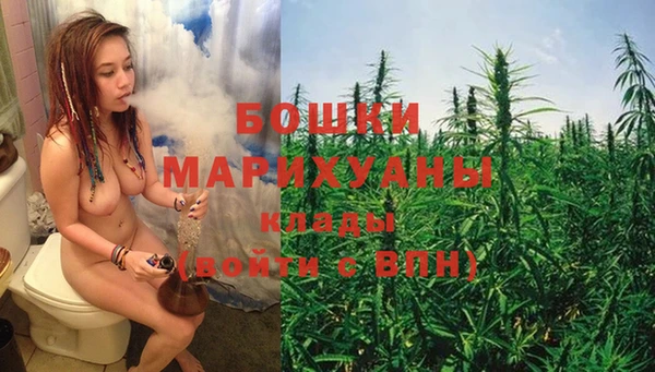 СК Бронницы