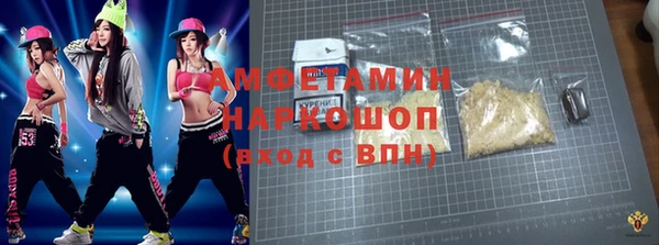 индика Бугульма