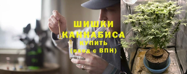 MDMA Бородино