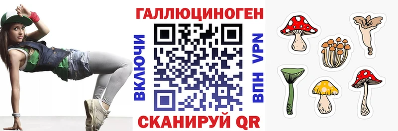 как найти наркотики  darknet клад  kraken ONION  Псилоцибиновые грибы ЛСД  Козельск 