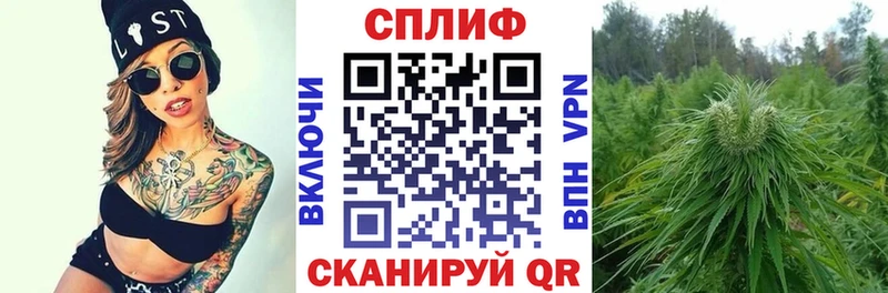 Конопля план  Козельск 